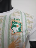 Côte d'Ivoire  Away Player 1:1 Quality Soccer Jersey 26-27 (2026)