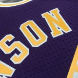 Retro Los Angeles Lakers Purple #32 JOHNSON  1:1 Quality NBA Season Jerseys  1998-1999