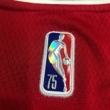 Chicago Bulls Red #91 RODMAN 1:1 Quality NBA  Season Jerseys  75 Year