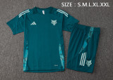 Cruzeiro  training fans  1:1 Quality Soccer Jersey  24-25