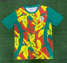 Senegal Special Edition Fans  1:1 Quality Soccer Jersey  24-25