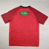 Palestine Special Edition Fans 1:1 Quality Soccer Jersey 25-26