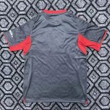 Olympiacos  Away  fans  1:1 Quality Soccer Jersey   25-26