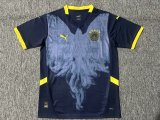 Fenerbahce  Special Edition  Fans  1:1 Quality Soccer Jersey  24-25