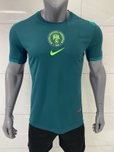 Nigeria away fans  1:1 Quality Soccer Jersey  25-26