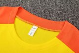 Brazil Training  Fans Kits Yollow 1:1 Quality Soccer Jersey 25-26 (Kids And Man )