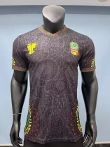 Mali Third Away player  1:1 Quality Soccer Jersey   25-26