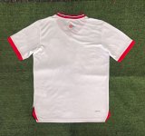 Lille(LOSC)  Special Edition Fans 1:1 Quality Soccer Jersey  24-25
