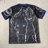 Japan Special Edition Fans 1:1 Quality Soccer Jersey 25-26
