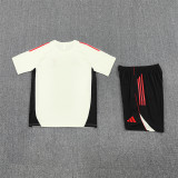 Liverpool  Training  Yollow Fans Kits  1:1 Quality Soccer Jersey 25-26 (Kids And Man )
