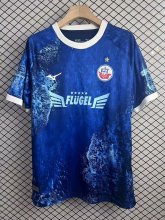 Hansa Rostock Special Edition fans 1:1 Quality Soccer Jersey  25-26