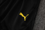 Dortmund  vest   training  fans  1:1 Quality Soccer Jersey  24-25