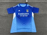 Benfica Goalkeeper Fans  1:1 Quality Soccer Jersey 25-26