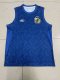 Santos vest blue  fans 1:1 Quality Soccer Jersey   24-25
