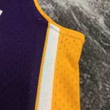 Los Angeles Lakers Kobe  #24 BRYANT Purple V-neck  NBA Jerseys  2008-2009
