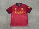 Ipswich Town away Fans  1:1 Quality Soccer Jersey   24-25