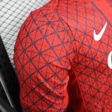 PSG Paris Special Edition player   1:1 Quality Soccer Jersey   25-26 （带星星）