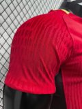 China Home Player 1:1 Quality Soccer Jersey  25-26