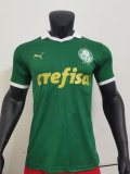 Palmeiras Home player 1:1 24-25