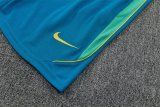 Brazil Training  Fans Kits White (Kids And Man 16-2XL) 1:1 Quality Soccer Jersey 26-27 (2026)