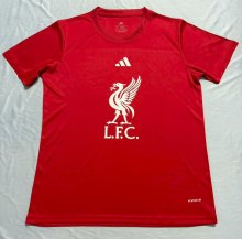 Retro Liverpool  Special Edition Red Fans 1:1 Quality Soccer Jersey  25-26
