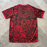 Palestine Red fans   1:1 Quality Soccer Jersey 25-26