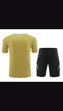 Argentina Training clothing set  1:1 Quality Soccer Jersey    24-25