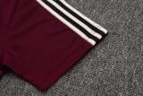 Ajax Polo Fans  Red 1:1 Quality Soccer Jersey  25-26