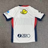 Kashima Antlers Away Fans 1:1 Quality Soccer Jersey  25-26