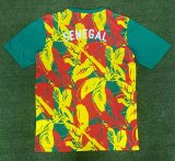Senegal Special Edition Fans  1:1 Quality Soccer Jersey  24-25