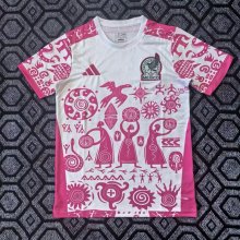 Mexico Special Edition Fans  1:1 Quality Soccer Jersey  25-26