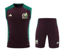 Mexico Training clothing Vest  set  1:1 Quality Soccer Jersey    24-25