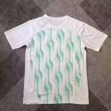 Palmeiras training fans 1:1 Quality Soccer Jersey   25-26