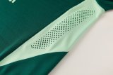 Arsenal Training Special Edition Player Green 1:1 Quality Soccer Jersey    25-26