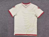 Albania  Away Fans 1:1 Quality Soccer Jersey  26-27 (2026)