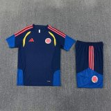 Colombia Training Special Edition  Fans 1:1 Quality Soccer Jersey 26-27（2026）