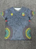 Mali  competition Before   Special Edition Fans   1:1 Quality Soccer Jersey   25-26