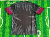 Brazil  Special Edition Fans 1:1 Quality Soccer Jersey 25-26
