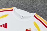 spain Training  Fans Kits White (Kids And Man 16-2XL) 1:1 Quality Soccer Jersey 26-27 (2026)