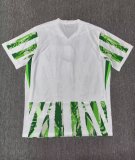 Nigeria Home fans  1:1 Quality Soccer Jersey  25-26