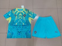 Portugal  Goalkeeper   With Pants Sets  Fans 1:1 Quality Soccer Jersey  26-27  (2026)