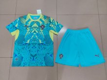 Portugal  Goalkeeper   With Pants Sets  Fans 1:1 Quality Soccer Jersey  26-27  (2026)