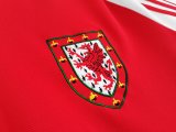 Retro Welsh home 1:1 1982