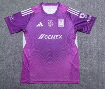 Tiger Goalkeeper  player 1:1 Quality Soccer Jersey  25-26