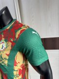 Senegal Special Edition player   1:1 Quality Soccer Jersey   25-26