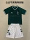 SV Werder Bremen Special Edition  kids 1:1 Quality Soccer Jersey  24-25