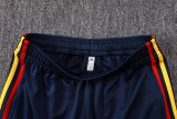 Spain  jacket suite 1:1 Quality jacket Jersey 26-27