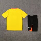 Brazil Training  Fans Kits Yollow 1:1 Quality Soccer Jersey 25-26 (Kids And Man )