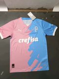 Palmeiras Special Edition fans 1:1 Quality Soccer Jersey    23-24