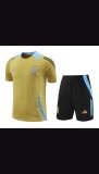 Argentina Training clothing set  1:1 Quality Soccer Jersey    24-25